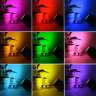 Вибродинамик со светодиодной подсветкой Living Colors 256 цветов - Вибродинамик со светодиодной подсветкой Living Colors 256 цветов