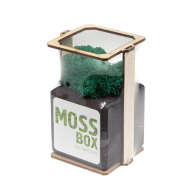 Набор с живым мхом MossBox Fire Moray Cube - Набор с живым мхом MossBox Fire Moray Cube